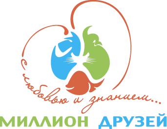 Миллион Друзей