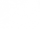 Lemonardo