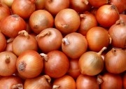 Лук