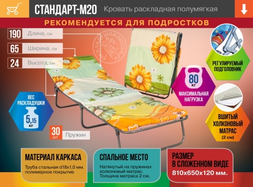 Стандарт-М20 Кровать раскладная полумягкая