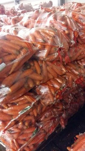 Морковь мытая, свежая