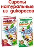 Сиропы натуральные из дикоросов