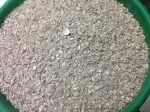 РАКУШКА АЗОВСКАЯ КОРМОВАЯ 20 КГ