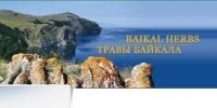 ООО "Травы Байкала"