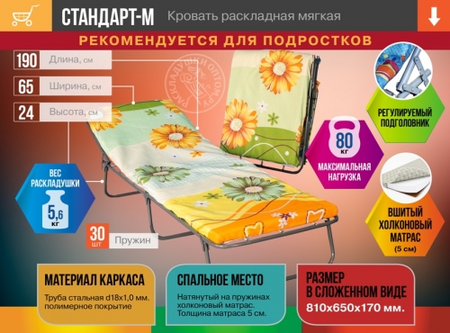 Стандарт-М Кровать раскладная мягкая